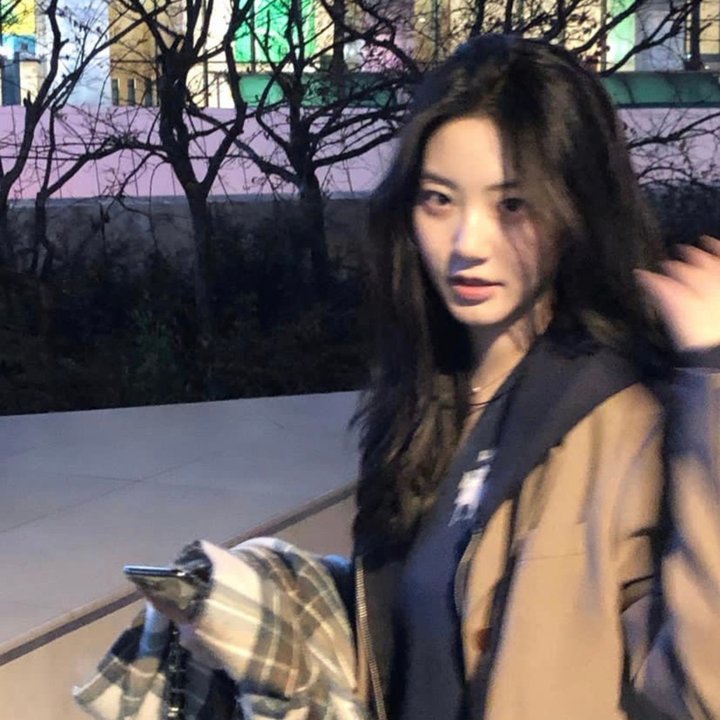 小鸡